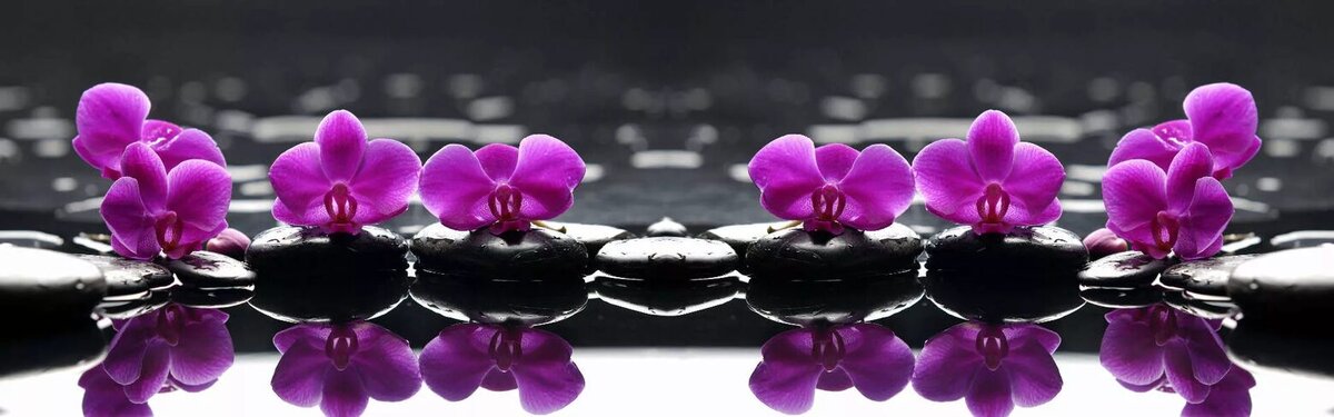 Яндекс картинки 