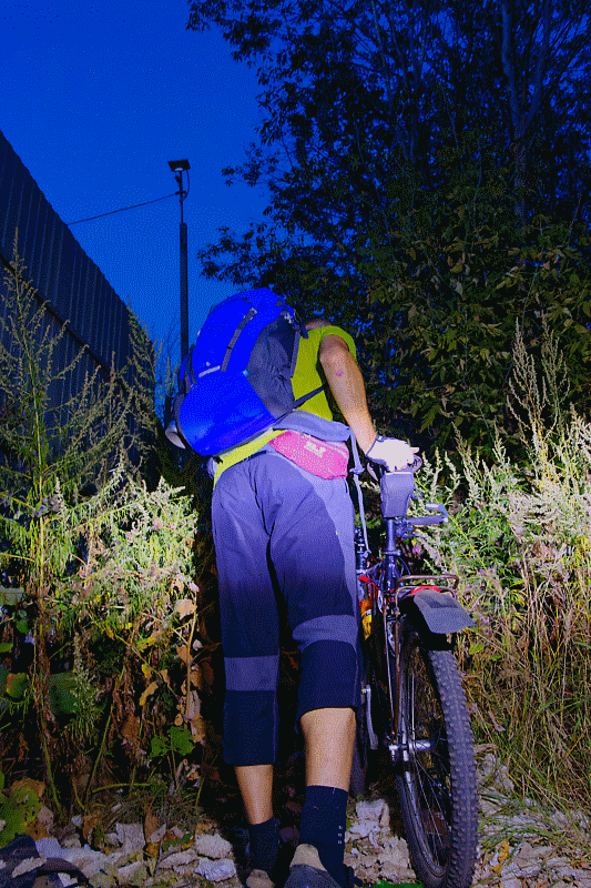 27. "Диких Студентов" поглощает тьма таинственных зарослей. А они и не против.