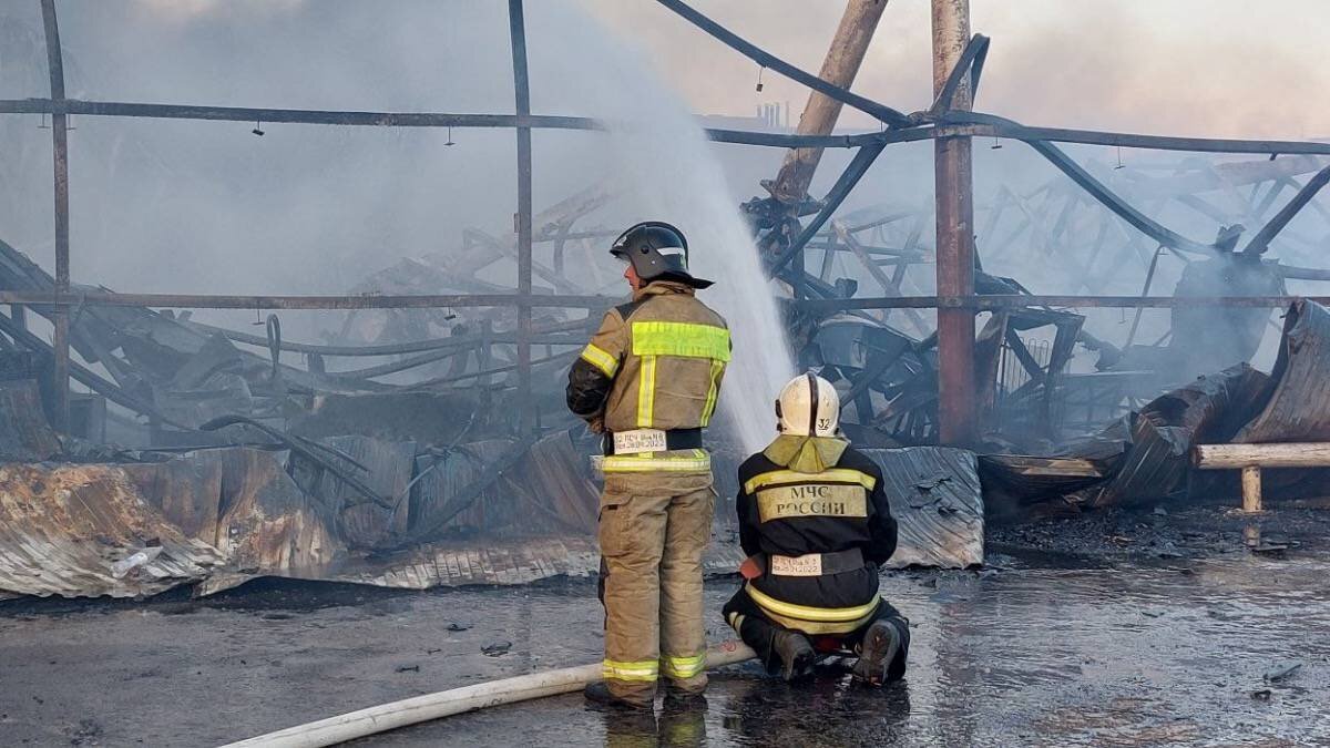    Фото: ГУ МЧС России по Волгоградской области