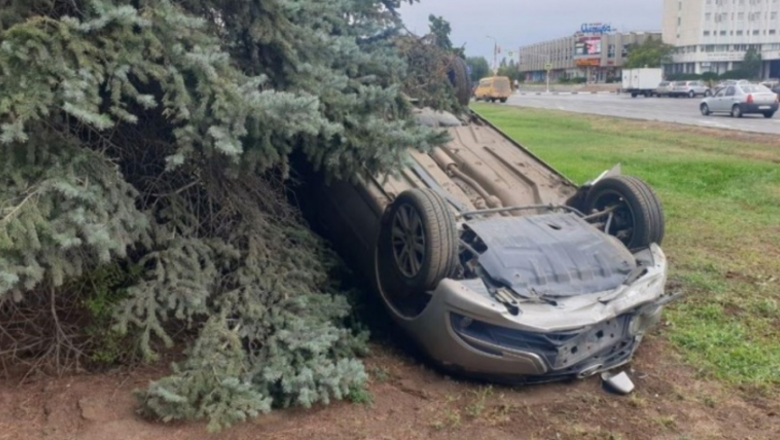 Фото: ГУ МВД по Волгоградской области