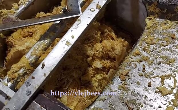 Что делать с забрусом после откачки меда