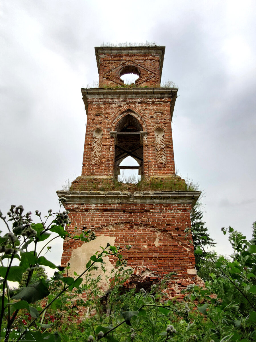 На месте трапезной заросли