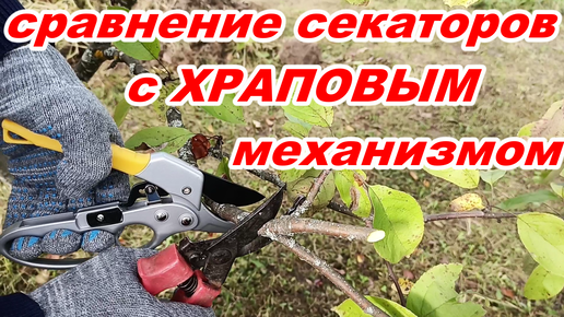 Как выбрать садовый секатор ! Секатор с храповым механизмом ! Обзор Сравнение Тест секаторов в работе ! Секатор храповый !