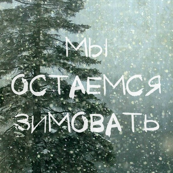 сплин остаемся зимовать