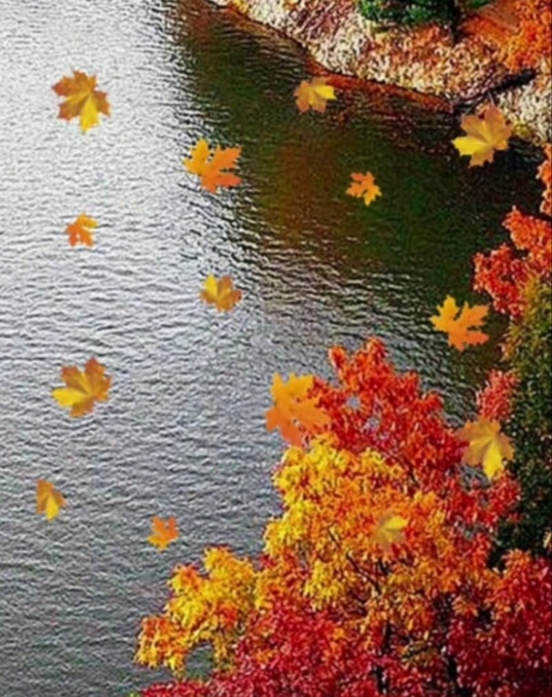осенние краски