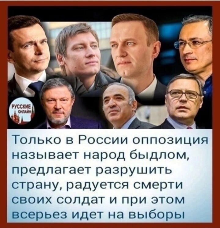наши либералы-оппозиционеры