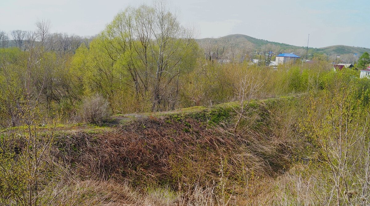 Сохранившаяся насыпь узкоколейной конно-самокатной железной дороги горного цеха Змеиногорского рудника.