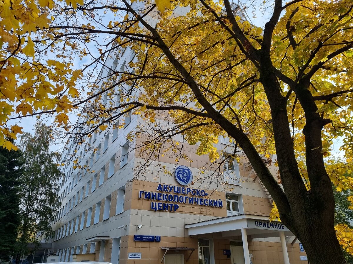 Городская клиническая больница имени ф и иноземцева. ГКБ им. ф. и. Иноземцева, акушерско-гинекологический зима. ГКБ Иноземцева лого.