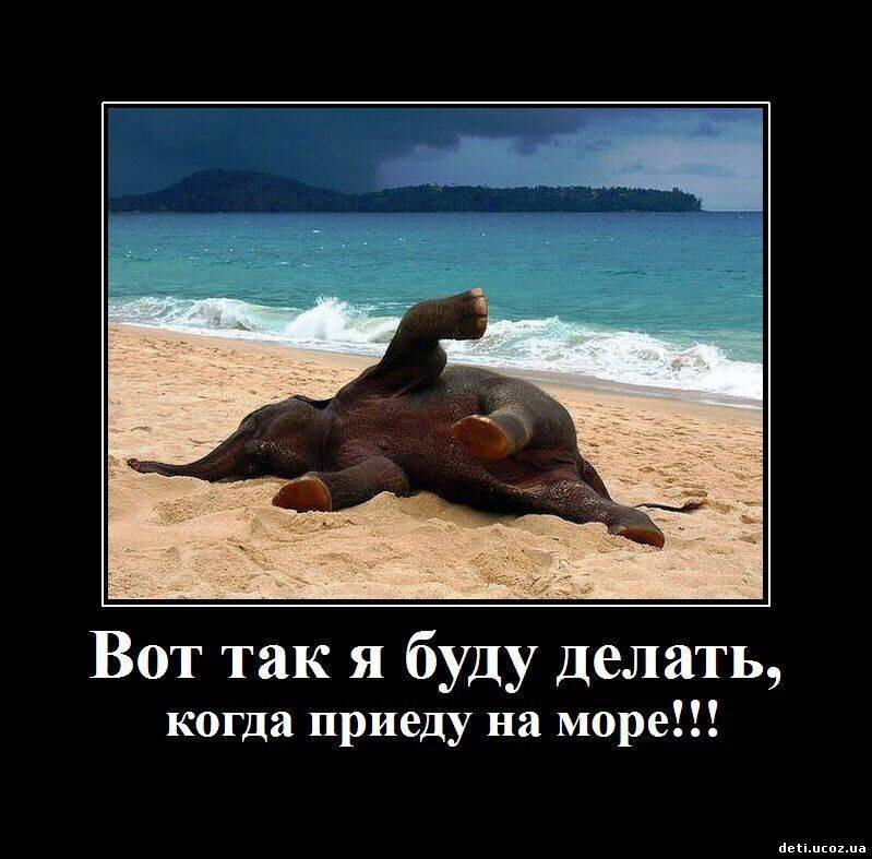 Шутки про море картинки
