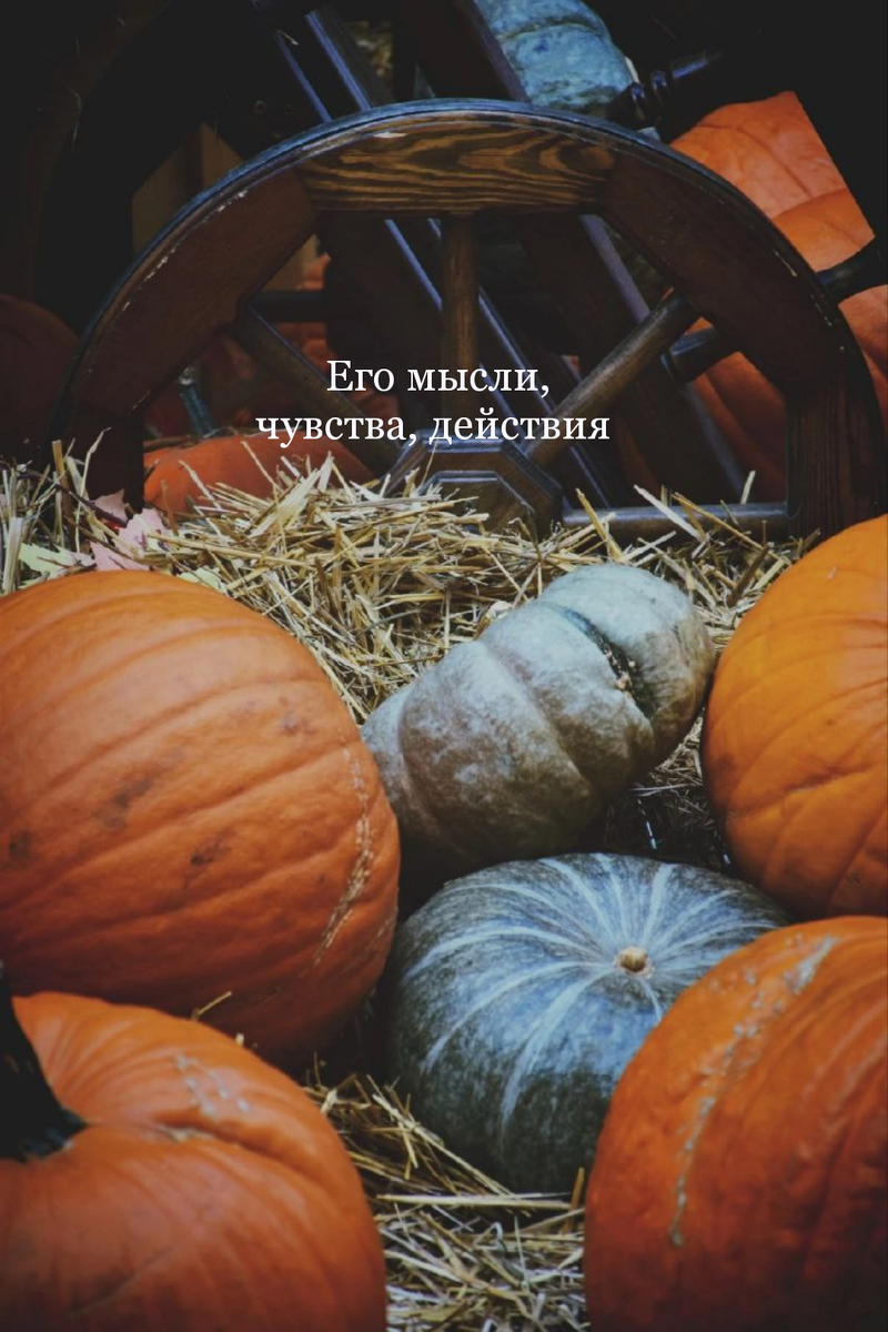 Его мысли, чувства, действия 