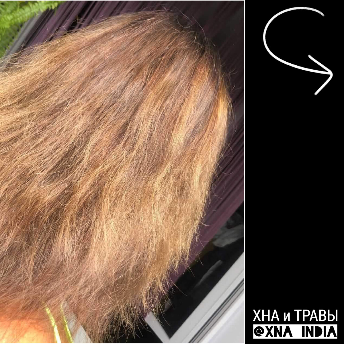 Balea (Балеа) Интенсивное лечение волос профессионал ьное More Blond , 20 мл