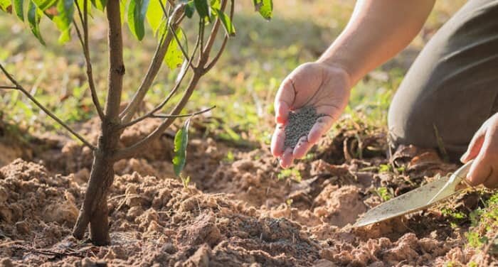 Изображение для иллюстрации, взято из открытых источников