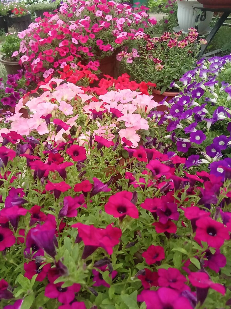 К сожалению, лето не длится круглый год (фото автора)