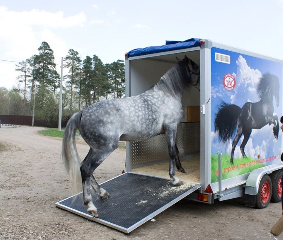 Фото из открытого источника.