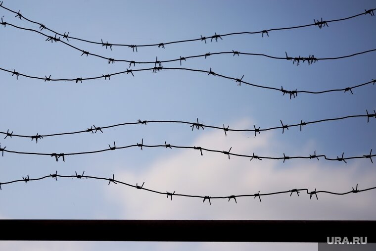    Украинские националисты показывали пленным фильмы про Бандеру