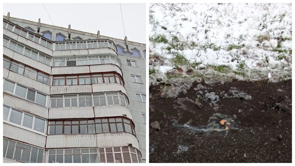     Фото народного корреспондента