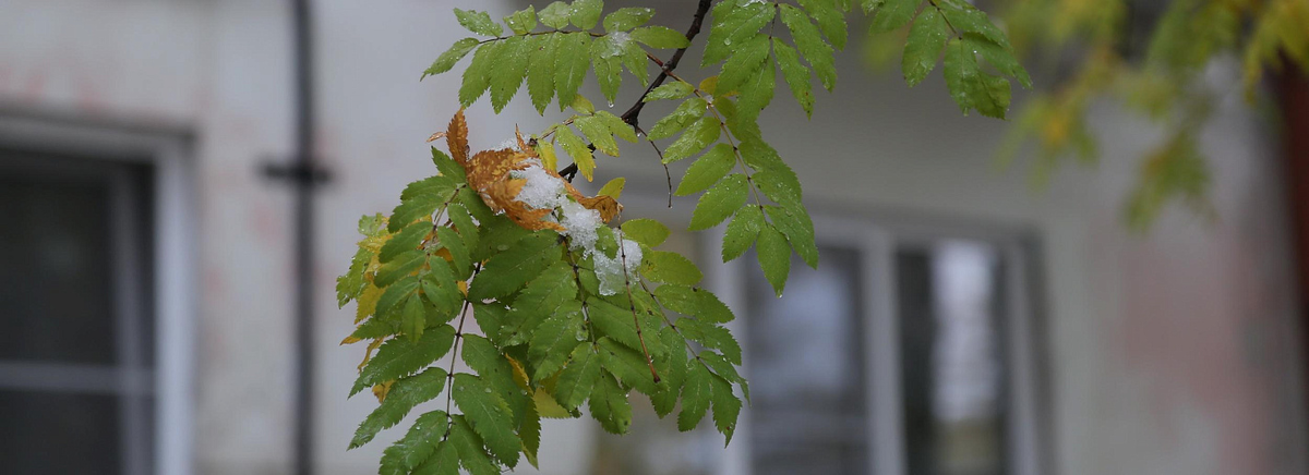 Фото: nsknews.info