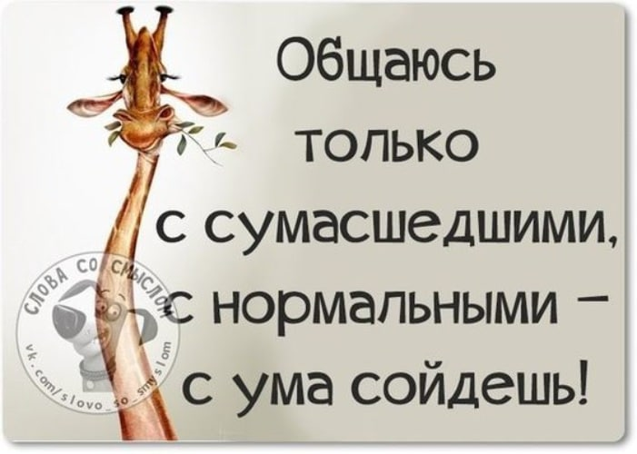В общем я пошла. Цитаты с юмором. Афоризмы про СУМАСШЕДШИХ. Смешные цитаты про СУМАСШЕДШИХ. Прикольные фразы про СУМАСШЕДШИХ