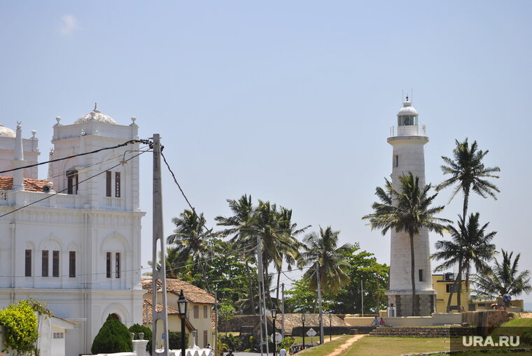    Рейсы будут доступны уже с конца января