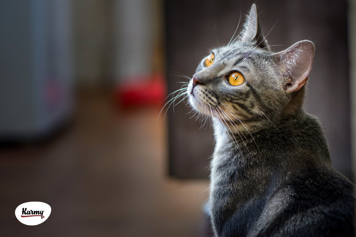  Авторское изображение с использованием картинки с фотостока "Unsplash"