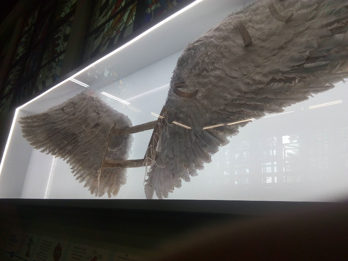 Крылья Икара, правда- правда!