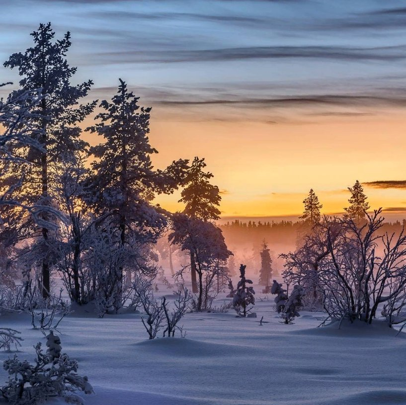 Яндекс.Картинки