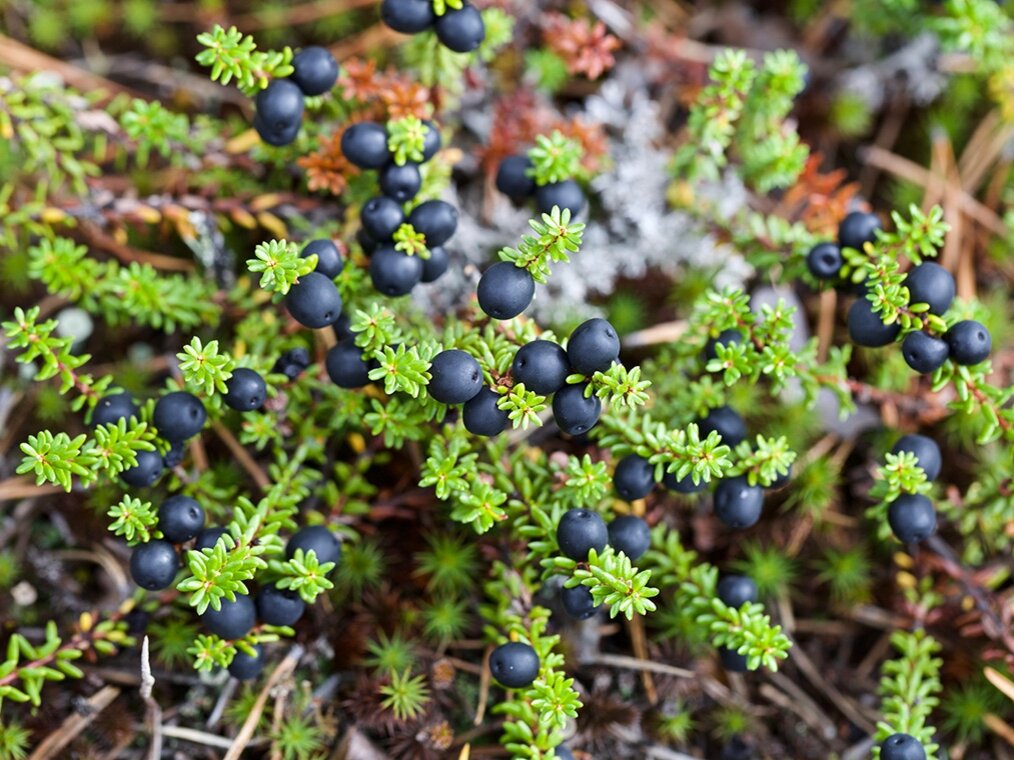 Фото: ethnomir.ru