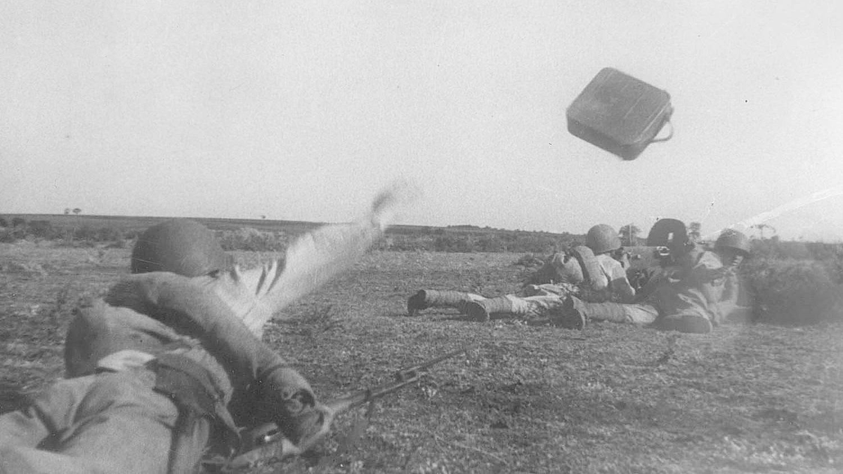 В свободном доступе