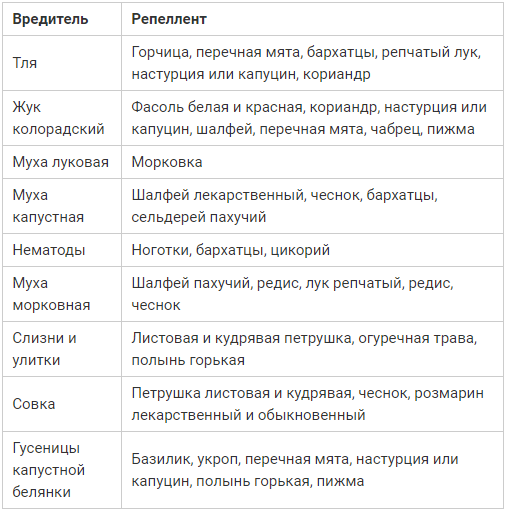 Стол 4 какие овощи можно