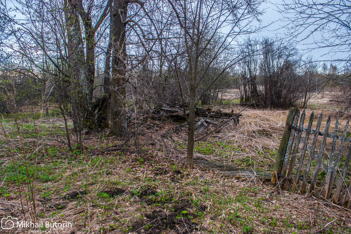 Развалины гаража-мастерской. Сейчас это всё убрано.