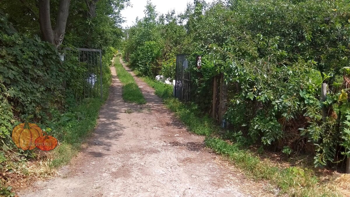 Заезд на территорию «Садов».