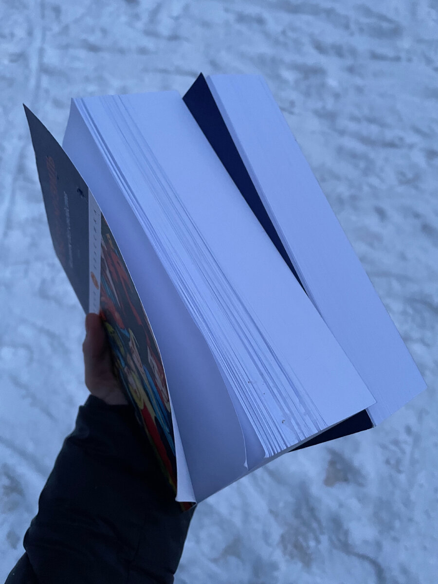 Читала долго, книга застала еще те времена, когда во дворе был снег