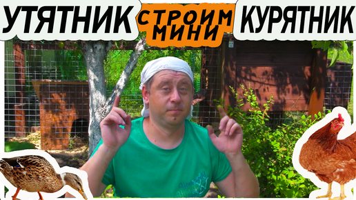 Как сделать курятник своими руками: чертежи, видео | Компания «Большая земля»