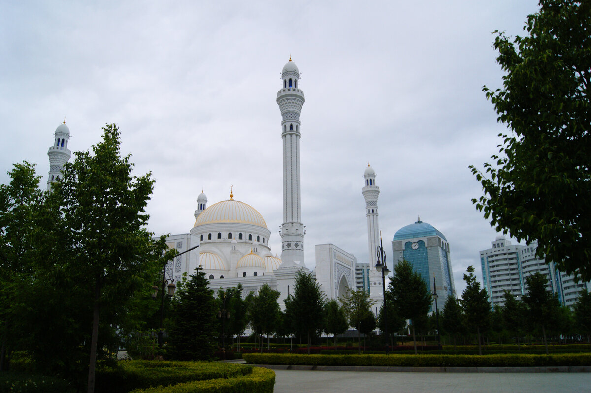 Мечеть в городе шали чеченская республика. Шали чечня мечеть гордость мусульман. Шымкент достопримечательности мечеть. Грозный сити мечеть. Мечеть в европе.