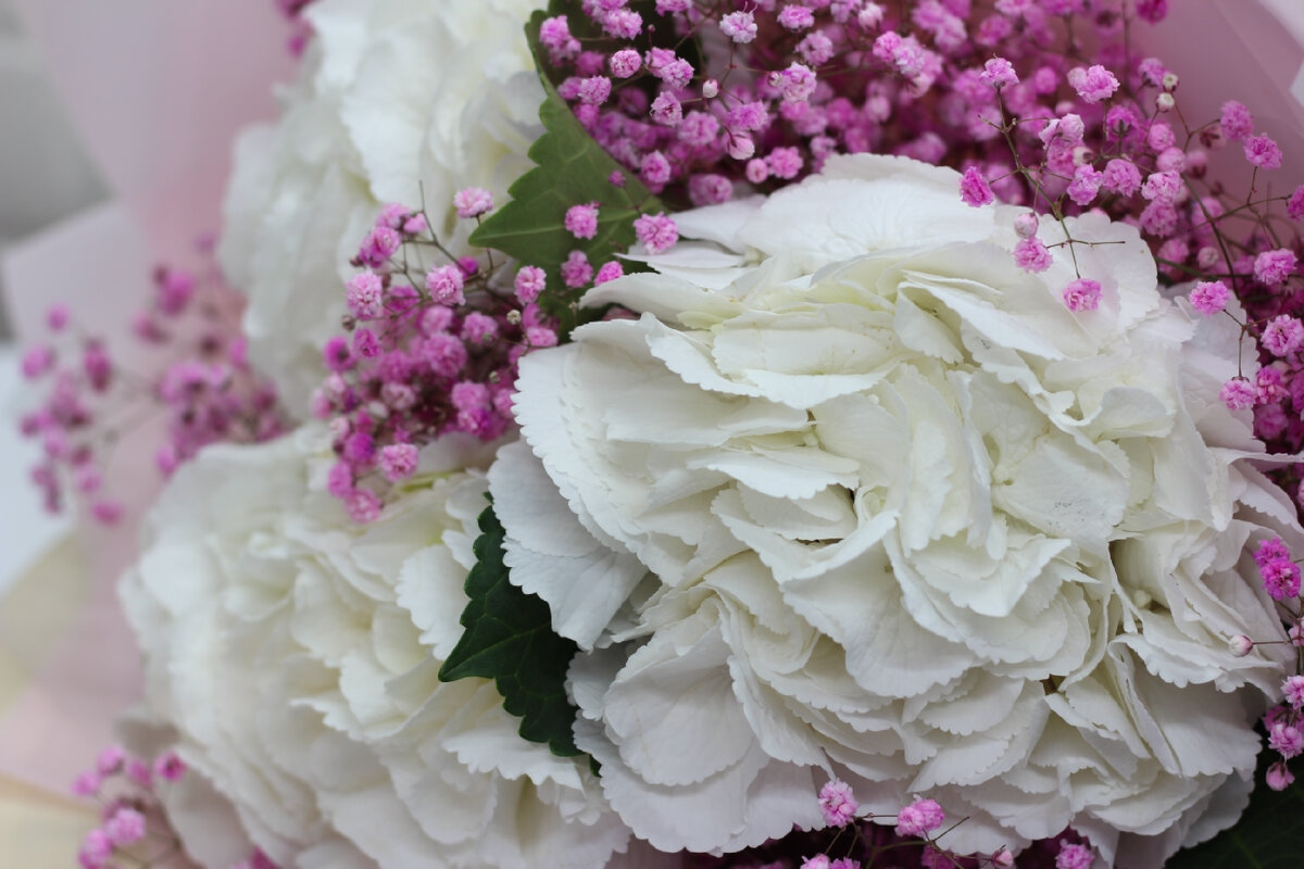 Букет из гортензии 