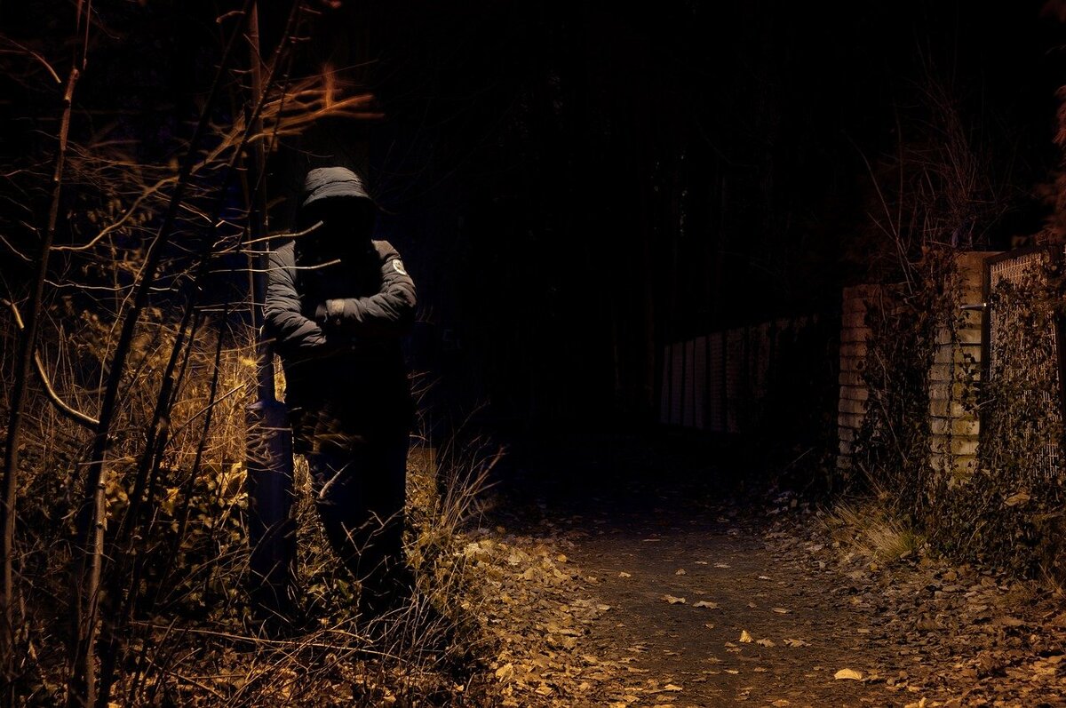 Фото с сайта pixabay.com 