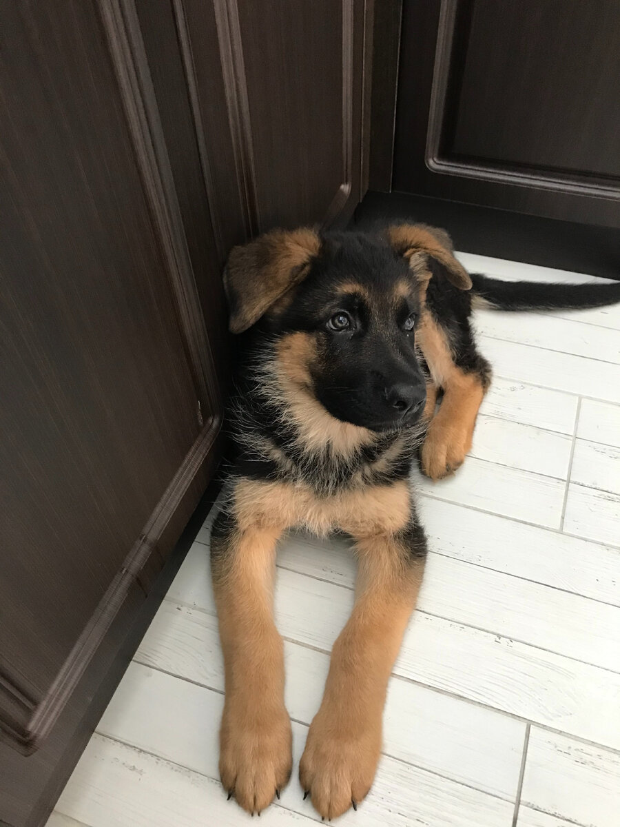 Ну совсем ребёнок 