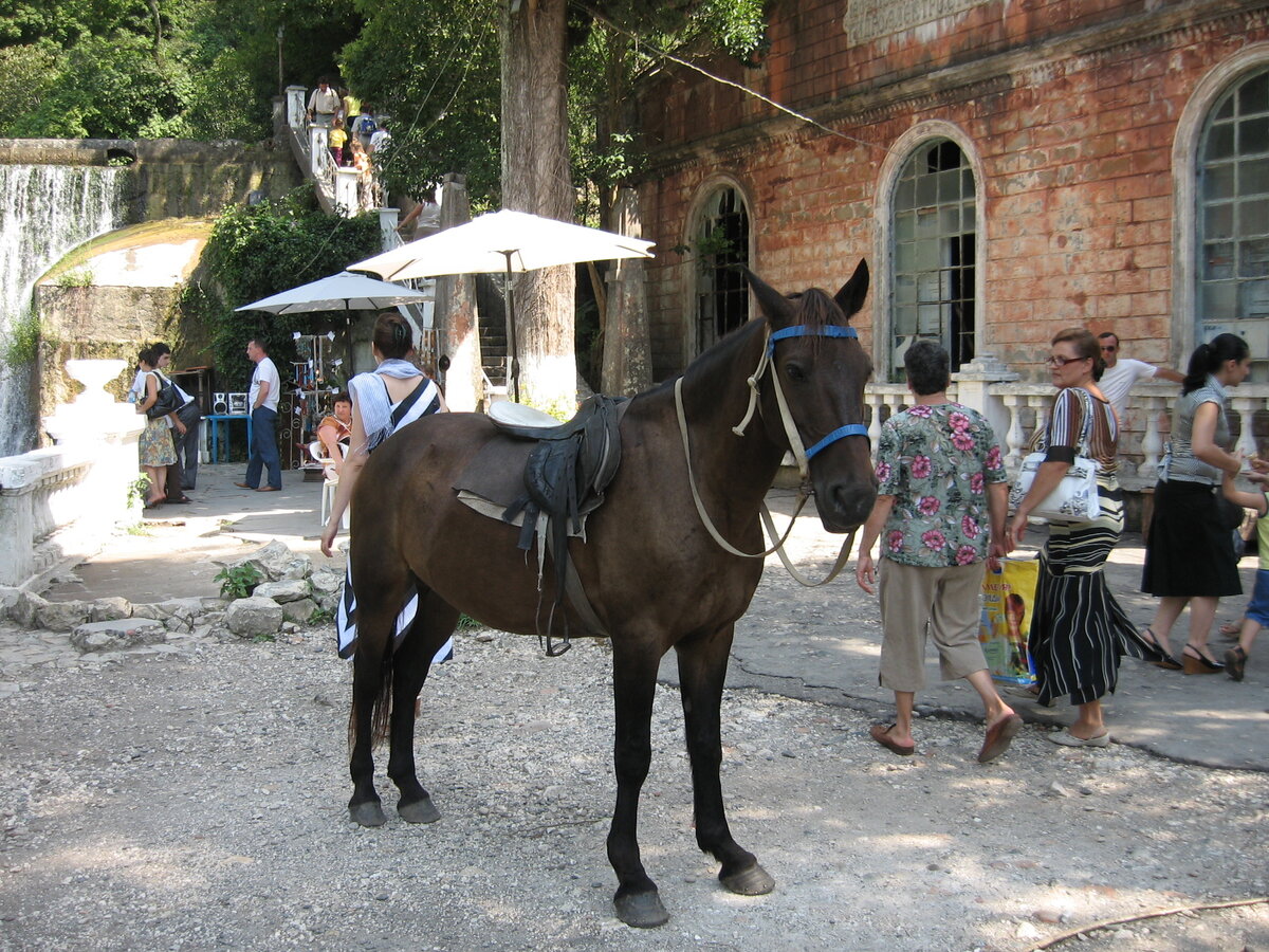 Личное фото автора статьи у водопада в Новом Афоне 2007 год