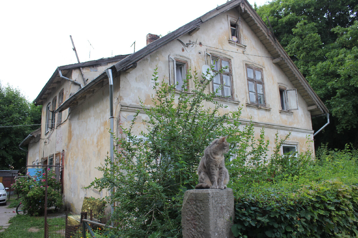Довоенные дома и коты – главные гордости города