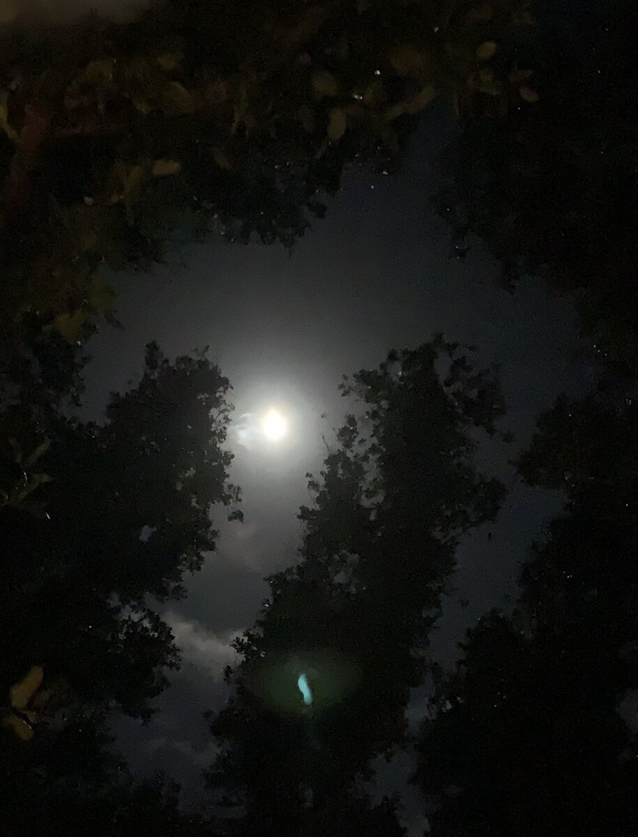 Фото сделано моим братом) Братик, спасибо! 