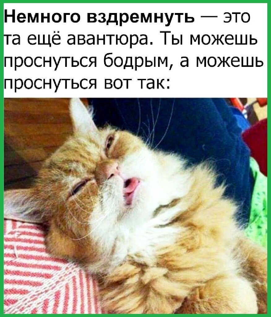 Картинки не могу проснуться