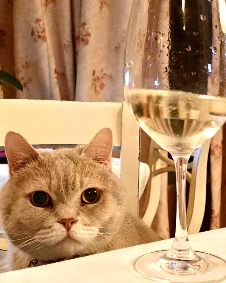 Фото со страницы МариVanna в сети фейсбук