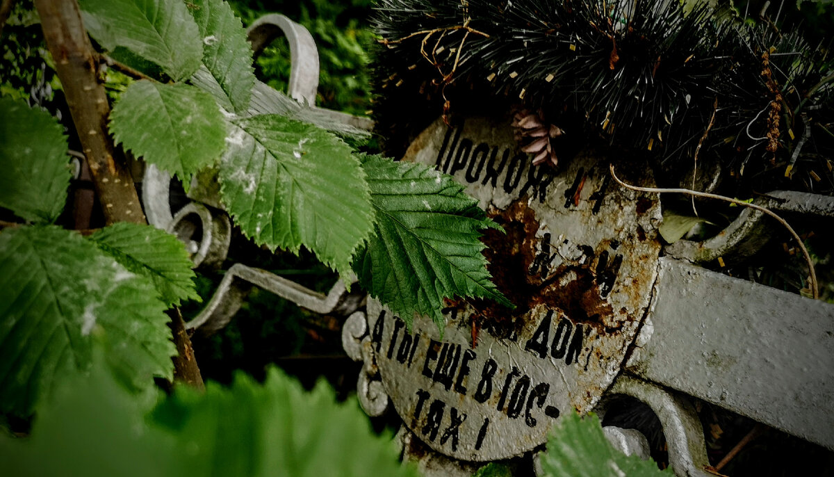 Фото автора, лето 2021