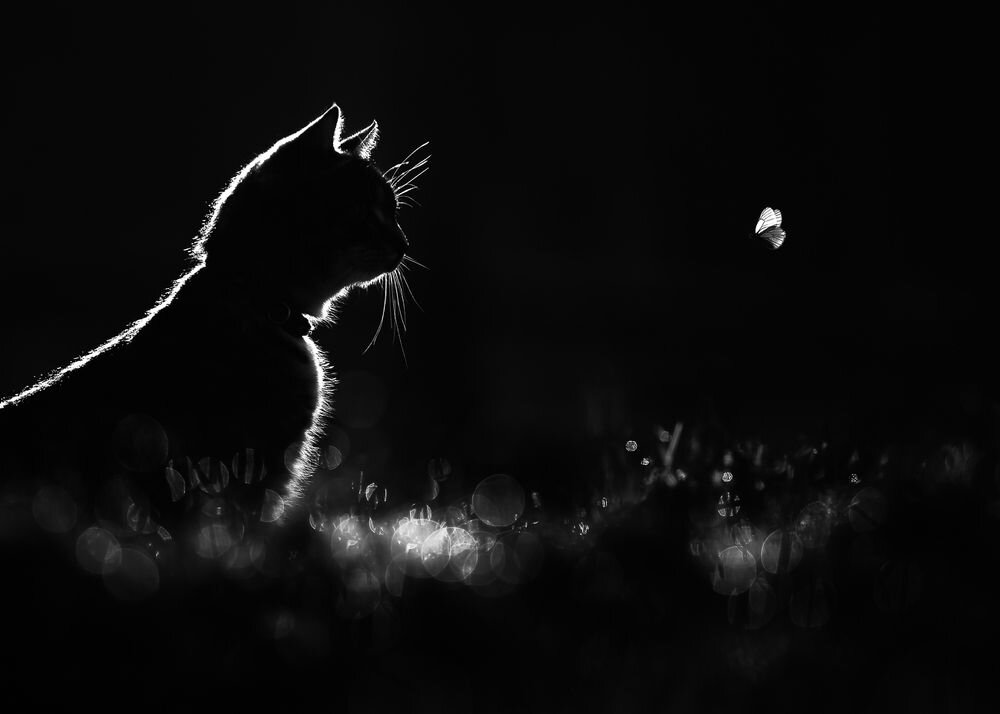 Баранов Олег