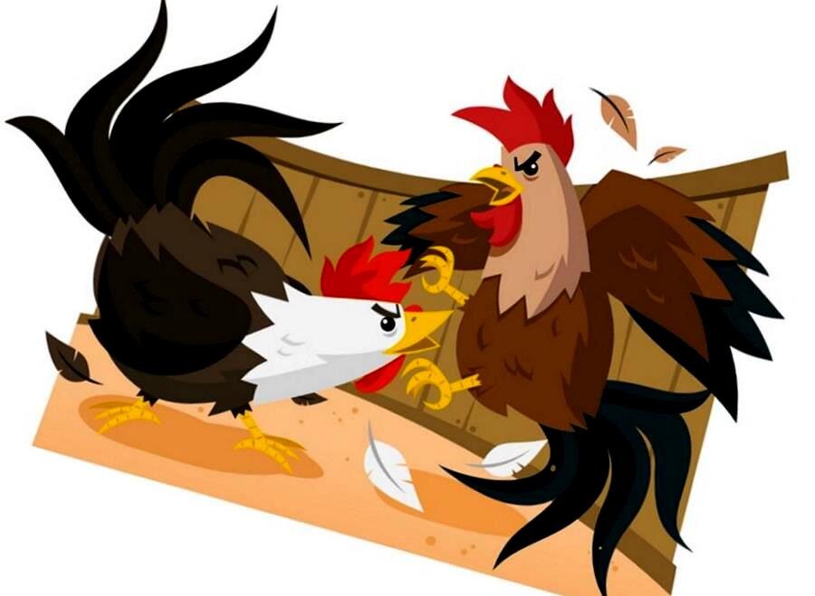 Петухи распетушились...