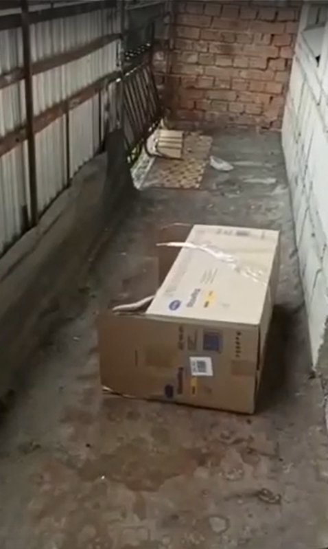 На раскаленном бетонном полу, на солнечной стороне балкона провел эти дни щенок