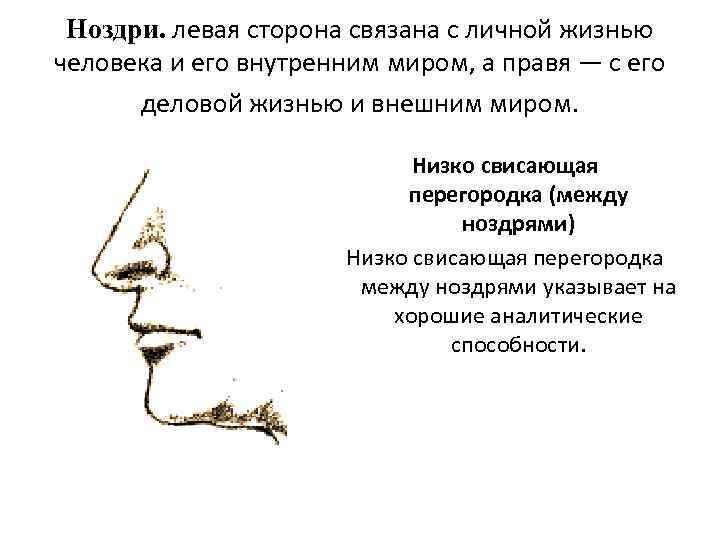 Охарактеризуйте нос его облик поведение. Физиогномика. Физиогномика картинки. Физиогномика человека. Чтение по лицу физиогномика.