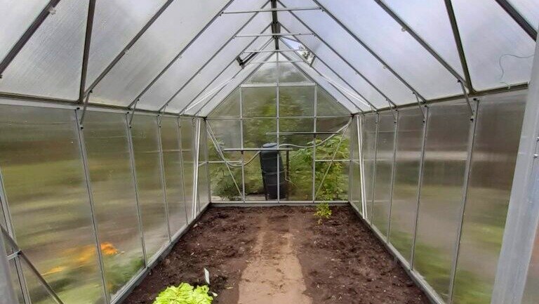 Подготовка теплицы - удаление всех растений