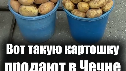 Уирк