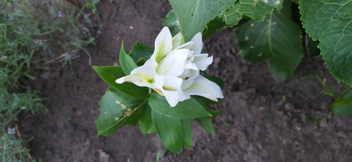 Фото для настроения)